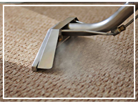 Carpet Steam Cleaners